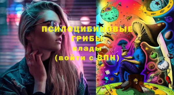 герыч Каменногорск