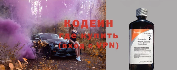 скорость Каменка