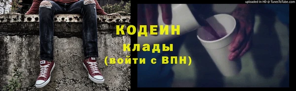 скорость Каменка