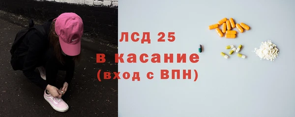 скорость Каменка