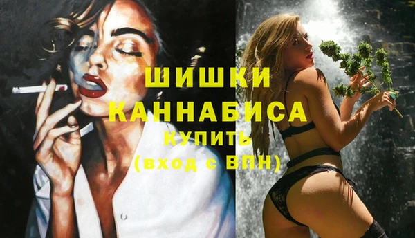 скорость Каменка