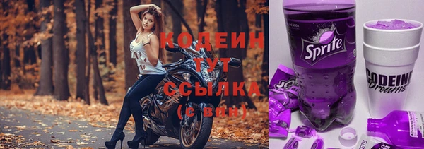 скорость Каменка