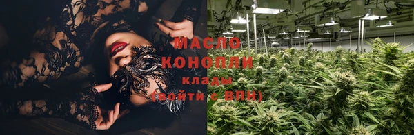 скорость Каменка