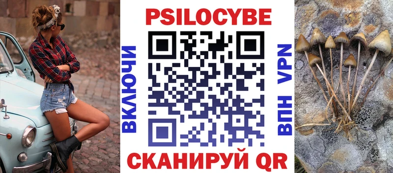 Купить закладки Колпашево Псилоцибиновые грибы прущие грибы